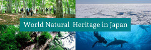 World Natural Heritage in Japan